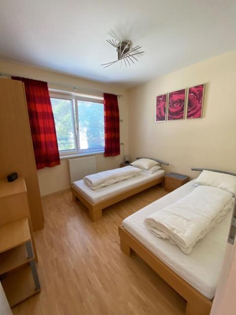 My Adventure Appartements Schladming By Schladmingurlaub Kültér fotó